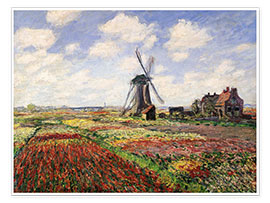 Póster Tulip Fields with the Rijnsburg Windmill