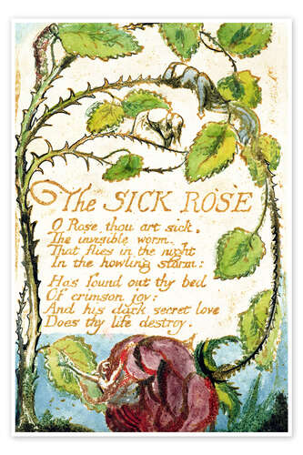 Póster The Sick Rose