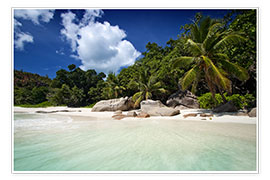 Póster Beautiful Beach Seychelles 3