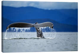 Quadro em tela  Barbatana de uma baleia jubarte - Paul Souders