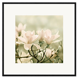 Impressão artística com moldura  magnolia blossom - Atteloi