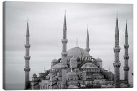 Quadro em tela  the blue mosque in Istanbul / Turkey - gn fotografie