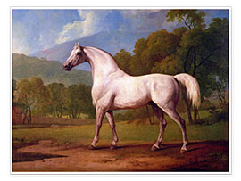 Póster Racehorse Mambrino