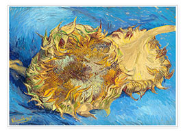 Póster  Two sunflowers - Vincent van Gogh