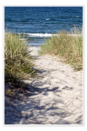 Póster  White dune on the beach of the island of Rügen - CAPTAIN SILVA