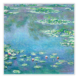 Póster  Nenúfares - Claude Monet