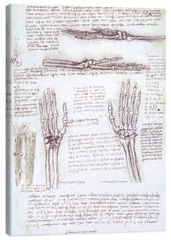 Quadro em tela  Estudo anatómico de uma mão - Leonardo da Vinci