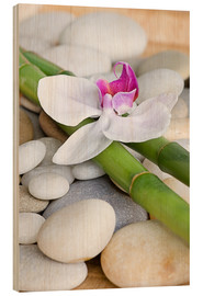 Quadro de madeira  Bambu e orquídea II - Andrea Haase Foto