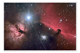 Póster The Horsehead Nebula