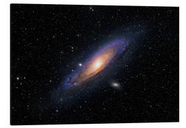 Quadro em alumínio  The Andromeda Galaxy - Roth Ritter