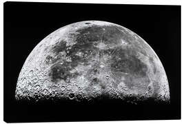 Quadro em tela  A lua