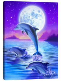 Quadro em tela  Golfinhos à noite - Robin Koni