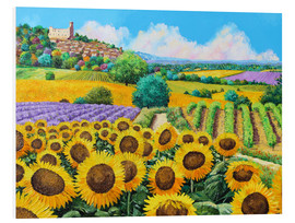 Quadro em PVC  Vineyards and sunflowers in Provence - Jean-Marc Janiaczyk