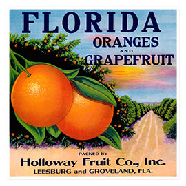 Póster  Florida Oranges and Grapefruit - Vintage Advertising Collection