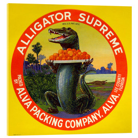 Quadro em acrílico  Alligator Supreme - Vintage Advertising Collection