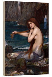 Quadro de madeira  A mermaid - John William Waterhouse