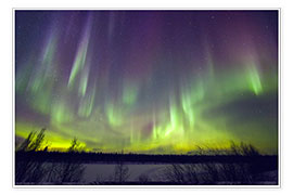 Póster  Aurora borealis, Finland - Juerg Alean