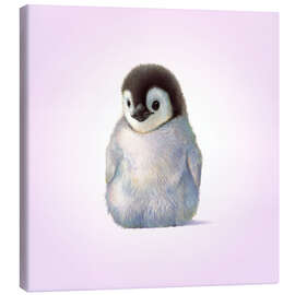 Quadro em tela  Penguin Chick - John Butler
