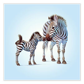 Póster  Zebra &amp; Foal - John Butler