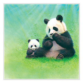 Póster  Panda, bebê e bambu - John Butler