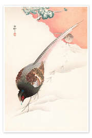 Póster  A Pair of Pheasants in the Snow - Ohara Koson