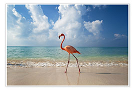 Póster Flamingo on the beach