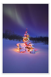 Póster  Christmas tree and Northern Lights - Carson Ganci