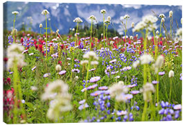Quadro em tela  Wildflower meadow - Craig Tuttle