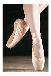 Póster  Ballet Dancer En Pointe - Don Hammond