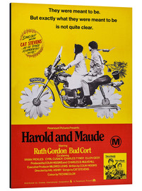 Quadro em alumínio  Ensina-me a viver - Harold and Maude (inglês)