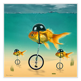 Póster  gold fish - Mark Ashkenazi