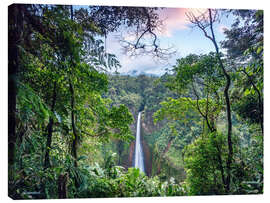 Quadro em tela  Rainforest and Waterfall, Costa Rica - Matteo Colombo