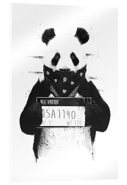 Quadro em acrílico  Bad panda - Balazs Solti
