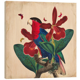 Quadro de madeira  Oh My Parrot VII - Mandy Reinmuth