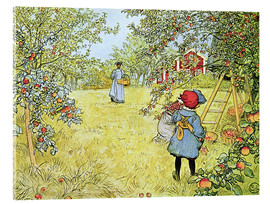 Quadro em acrílico  Colheita da maçã - Carl Larsson