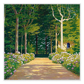 Póster Hydrangeas on a garden path