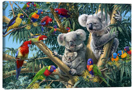 Quadro em tela  Koala Outback - Steve Read