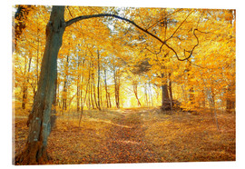Quadro em acrílico  Golden autumn forest