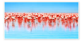 Póster  Flamingo in the lake Nakuru