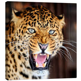 Quadro em tela  Leopard portrait