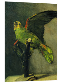 Quadro em PVC  O papagaio verde - Vincent van Gogh