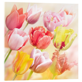 Quadro em acrílico  Various tulips