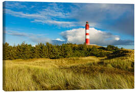 Quadro em tela  Lighthouse on the North Sea island Amrum - Rico Ködder