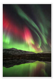 Póster  Aurora borealis, Norway - Tommy Eliassen