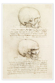 Póster  O crânio - Leonardo da Vinci