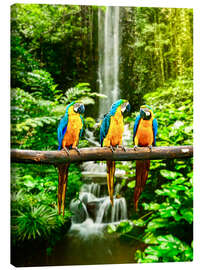 Quadro em tela  Três papagaios e uma cascata