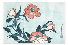 Póster  poppies - Katsushika Hokusai
