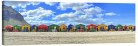 Quadro em tela  Colorful beach houses in Muizenberg - HADYPHOTO