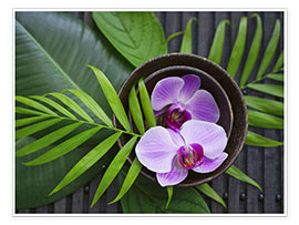 Póster  Tropical Zen Orchid - Andrea Haase Foto