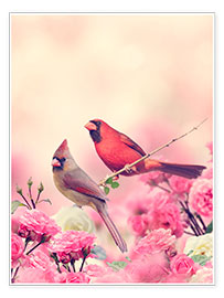 Póster Red cardinal in sea of flowers